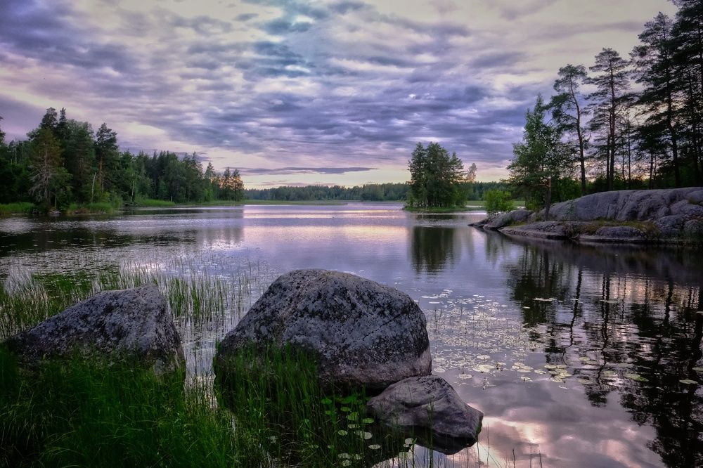 Photograph by Diana Greske