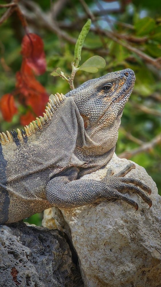 Photograph by Emiliano Rinaldi