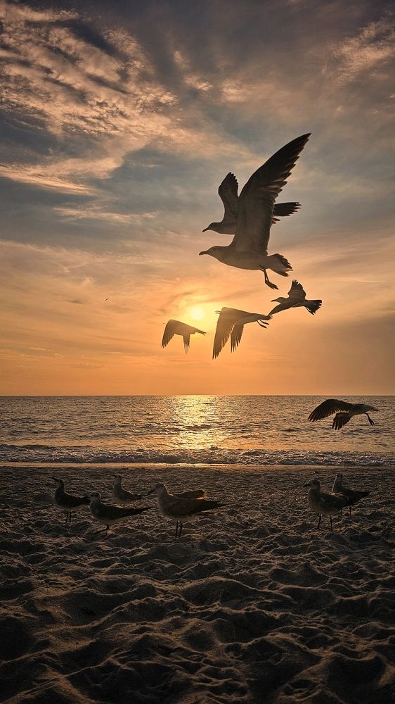 Photograph by Emiliano Rinaldi