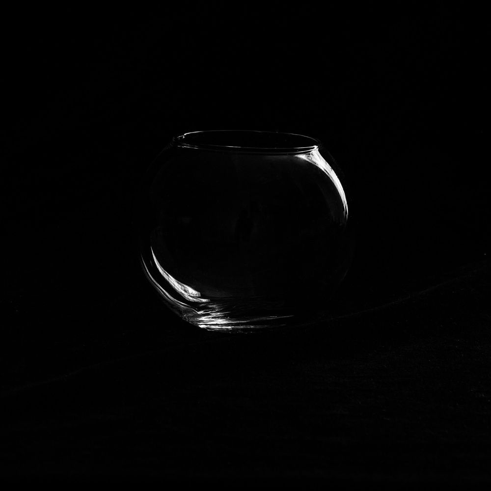 Photograph by Lyudmila Klimanova