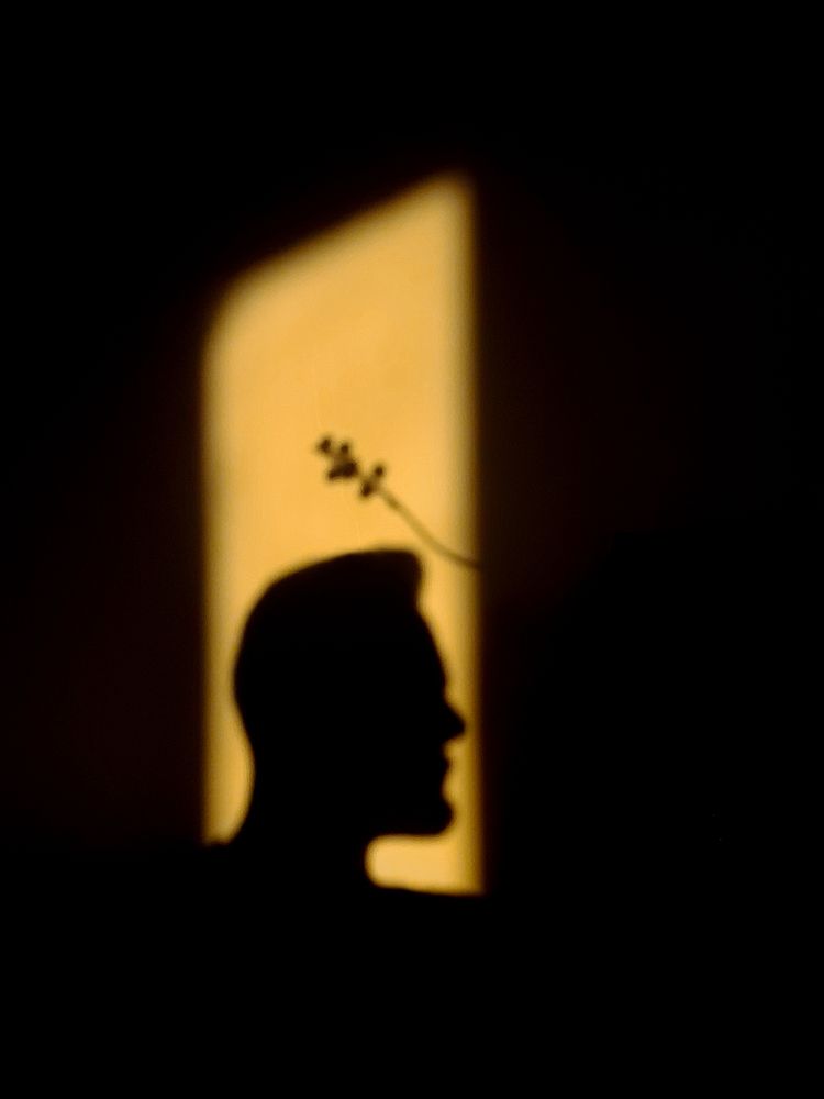 Фотография автора soroush Mohammadpour