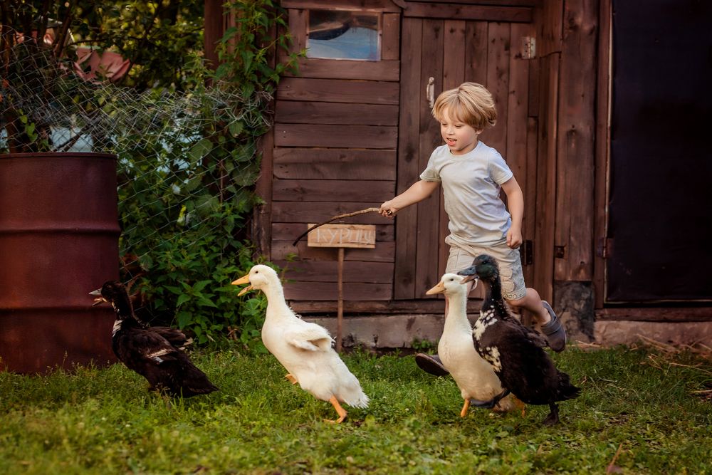 Photograph by Ирина Юрлова