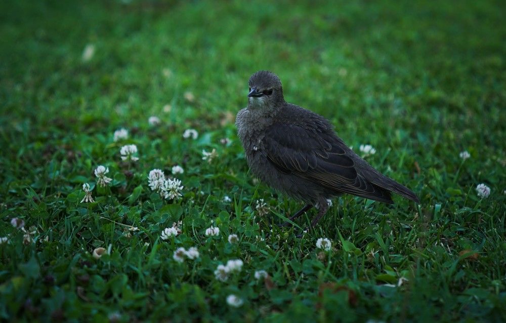 Photograph by Maria Zagagul