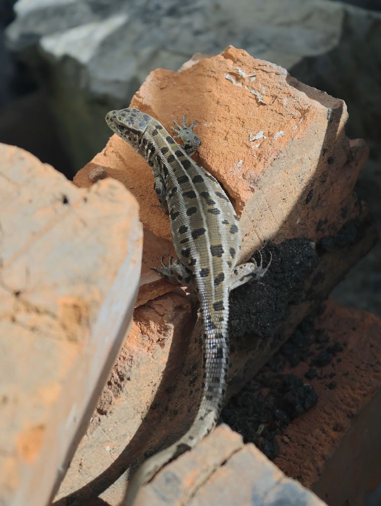 Photograph by Серёга Ануфриев