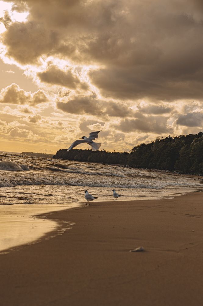 Photograph by Виктория Егорова