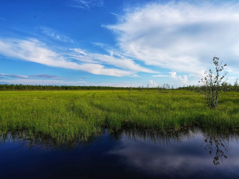 Photograph by Alexandr Klyuev