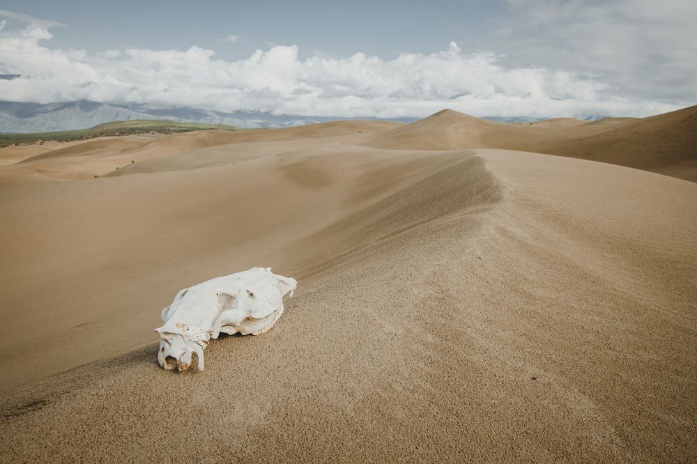 Photograph by Нерозя Александр