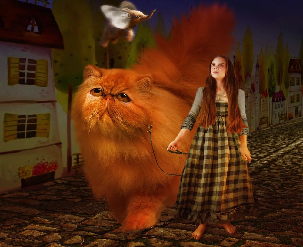 По улице Кота водили...