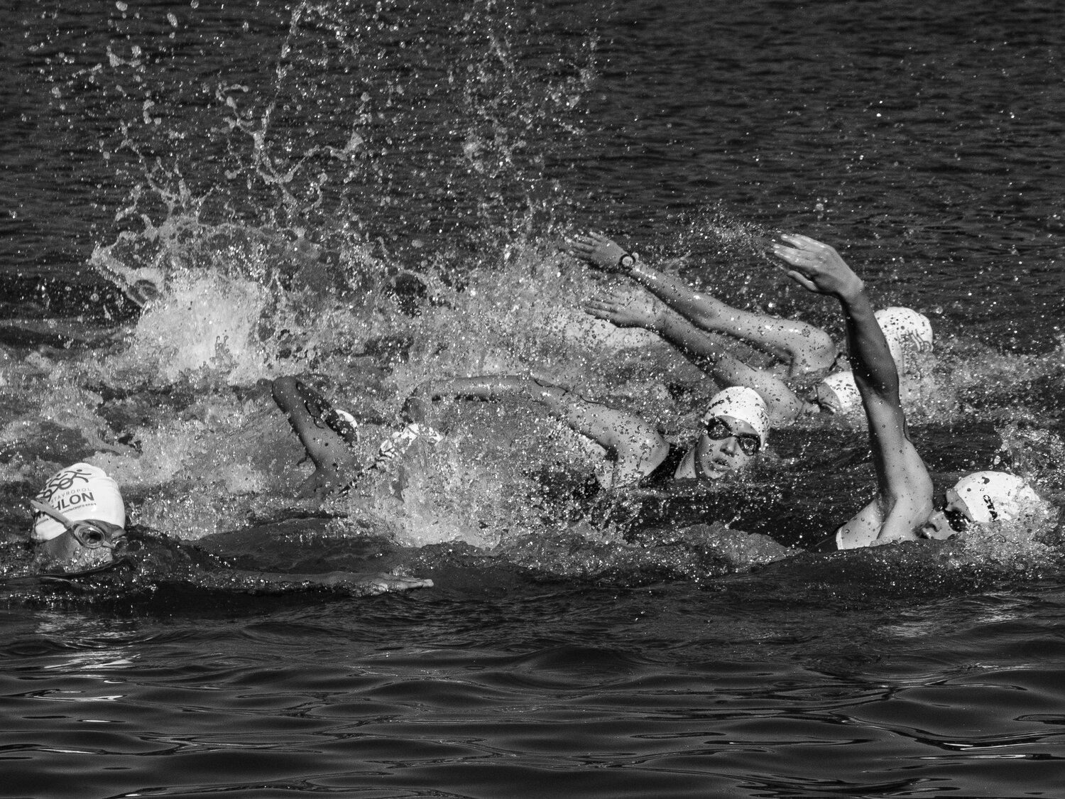 Photo #10824125