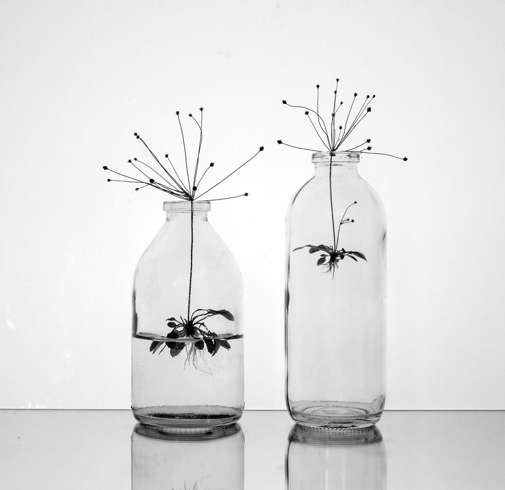 Фотография автора Людмила Прокофьева