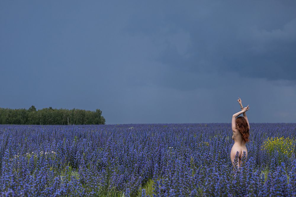 Photograph by Алексей Черников