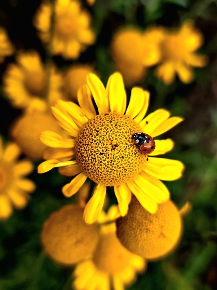 Photograph by Анна Семенова