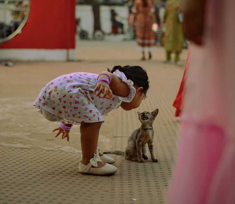 Photograph by Tanvir Ahmed Vir Capture