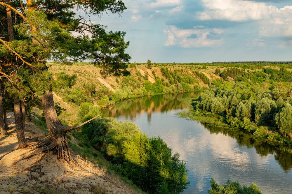 Фотография автора Алексей Тимофеев