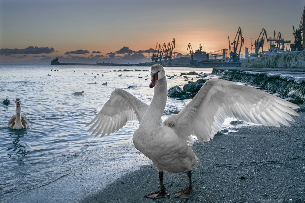 Photograph by Liliya