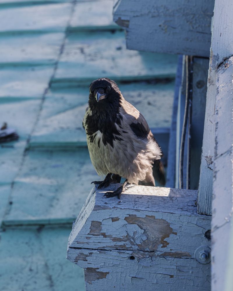 Photograph by Анна Бокова