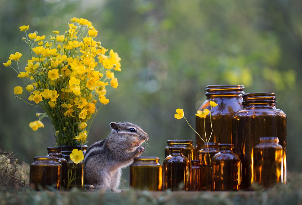 Photograph by Евгения Левина