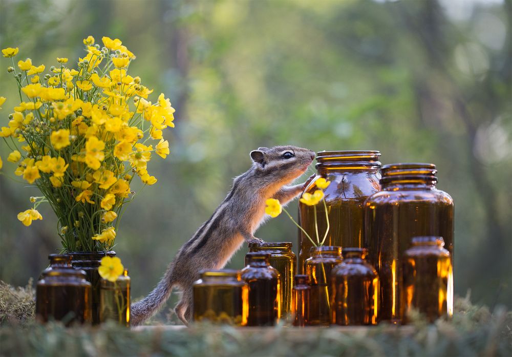 Photograph by Евгения Левина