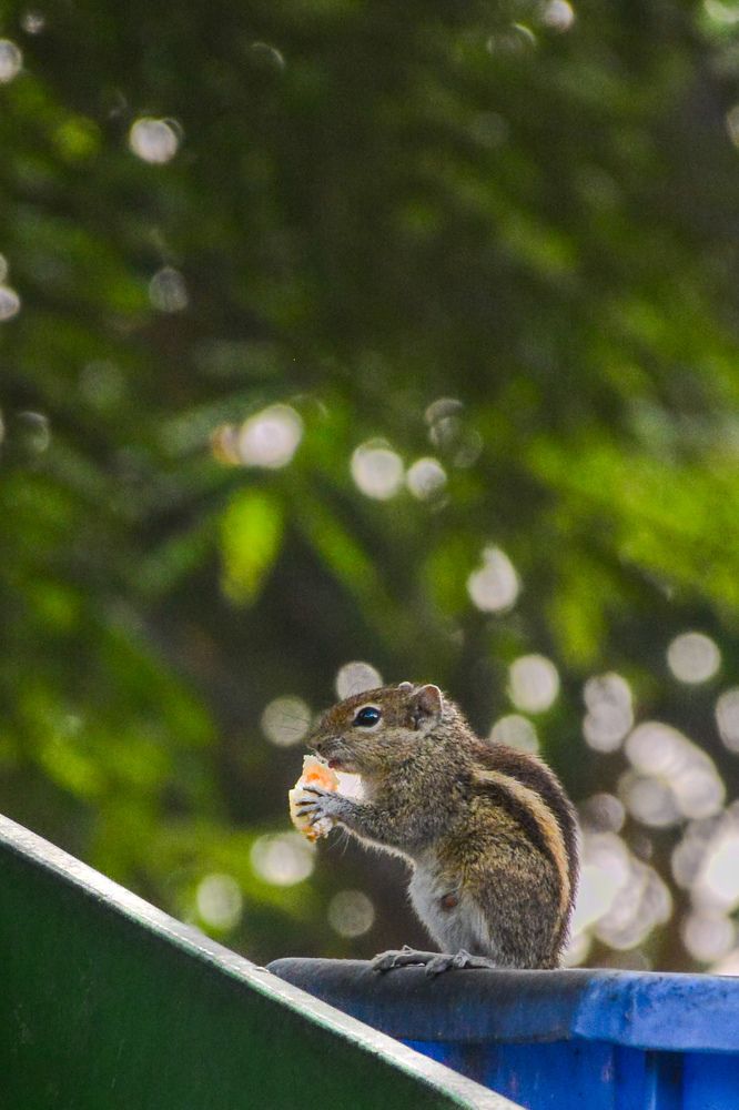Photograph by Anand Shah