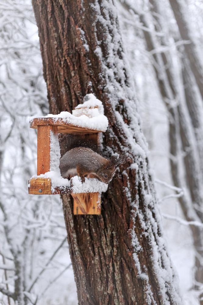 Фотография автора Анастасия Лапта