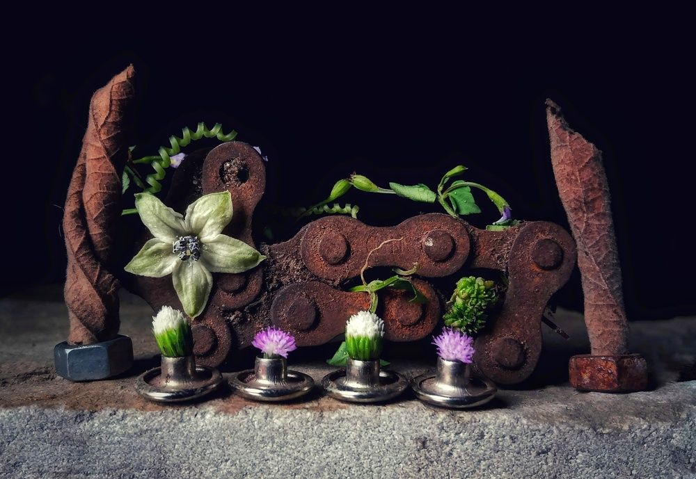 Photograph by Zaki Purnomo