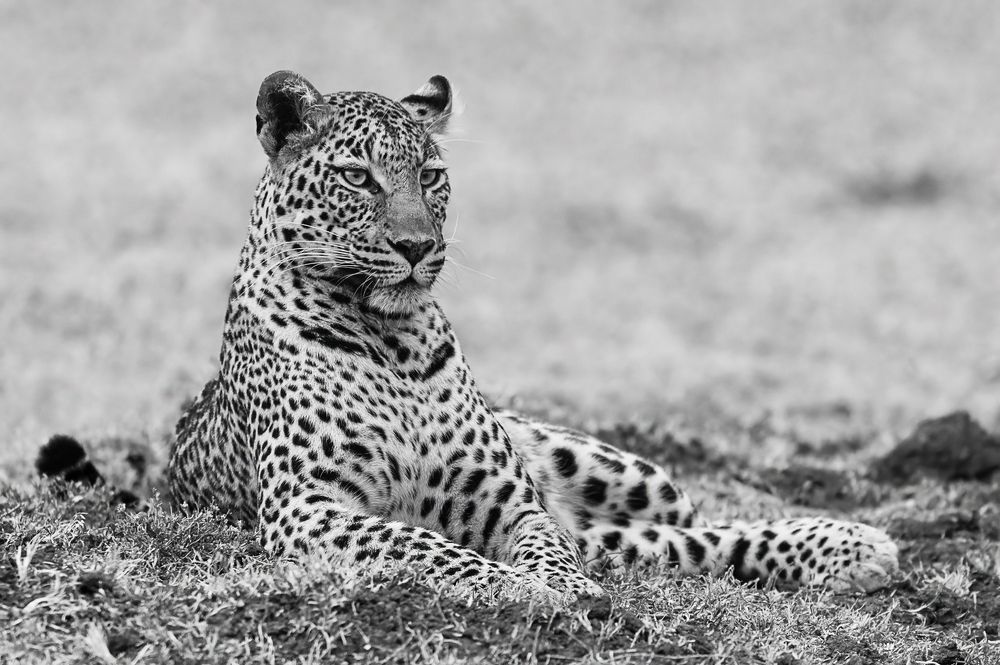 Photograph by Sushil Chauhan