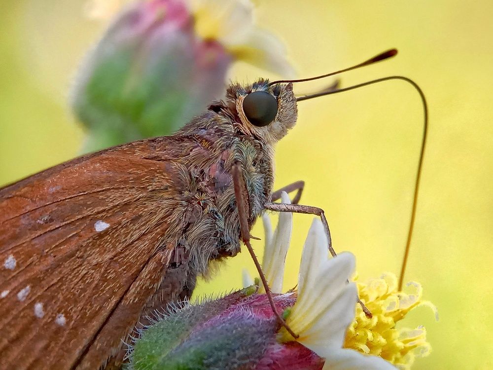 Photograph by Zaki Purnomo