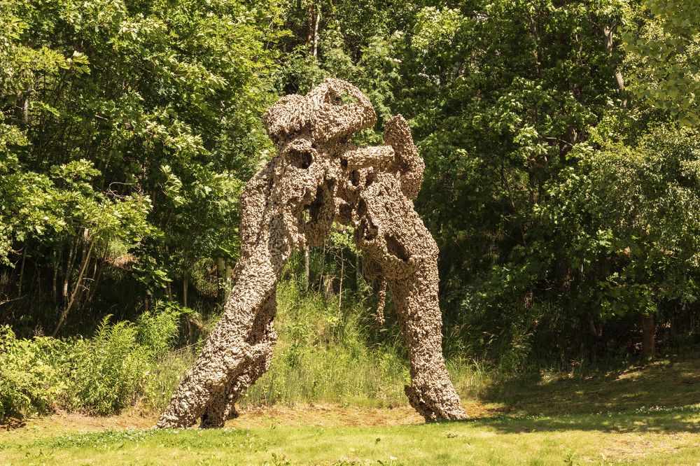 Photograph by klara Neikov