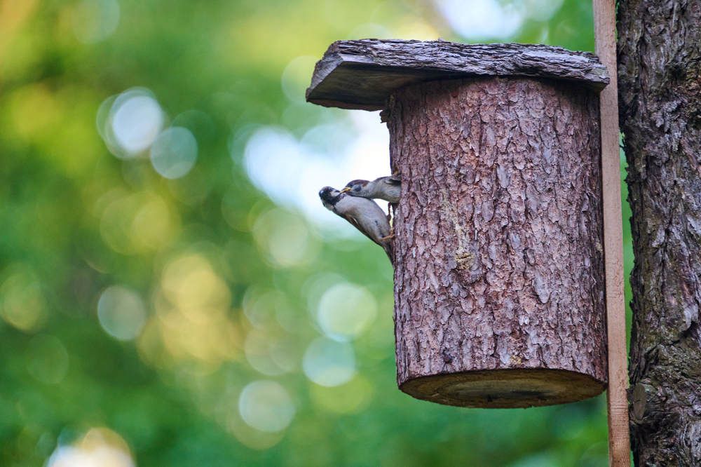 Photograph by Дмитрий Солодухин