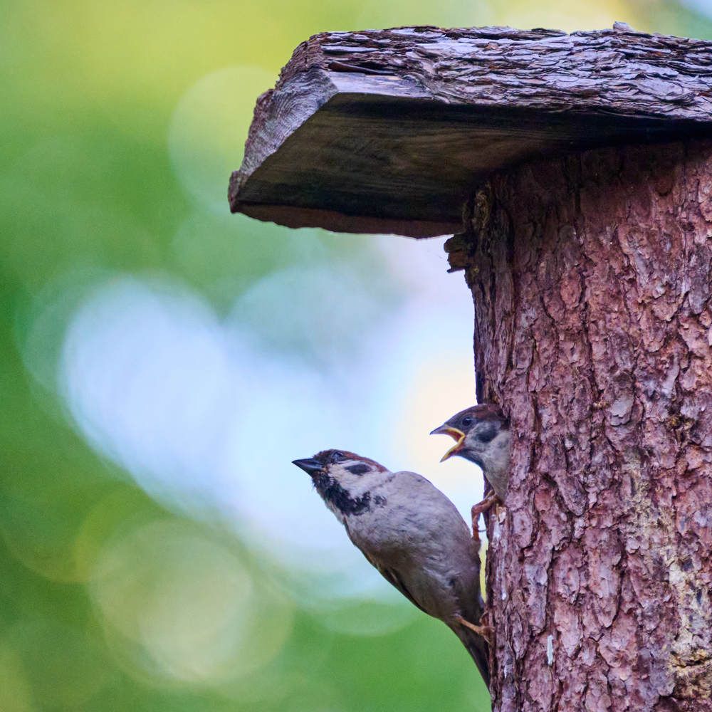 Photograph by Дмитрий Солодухин
