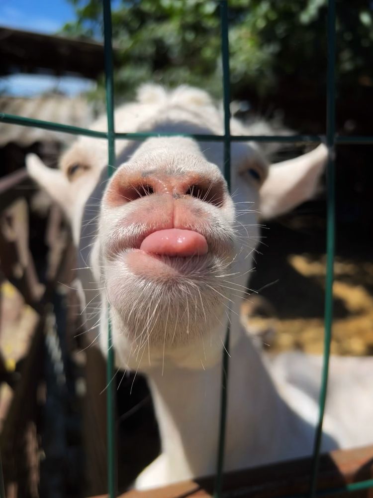 Photograph by Яна Сел