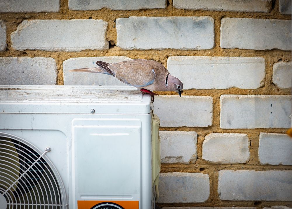 Photograph by Владимир Кваша