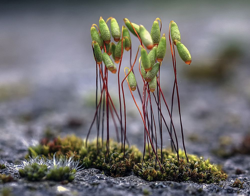 Фотография автора Александр