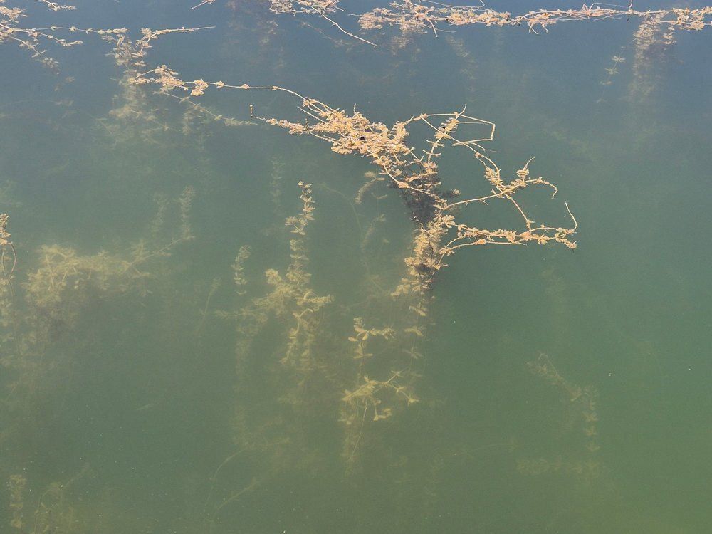 Photograph by Нина Старкова