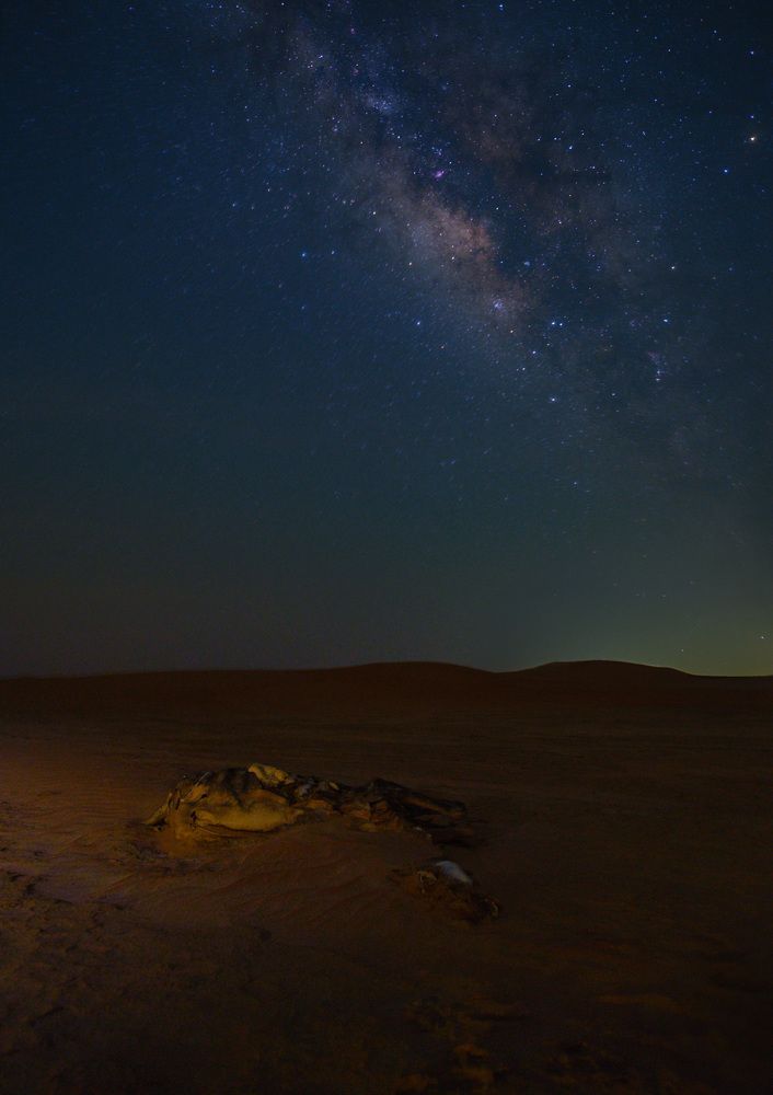 Photograph by MARY GRACE Montives