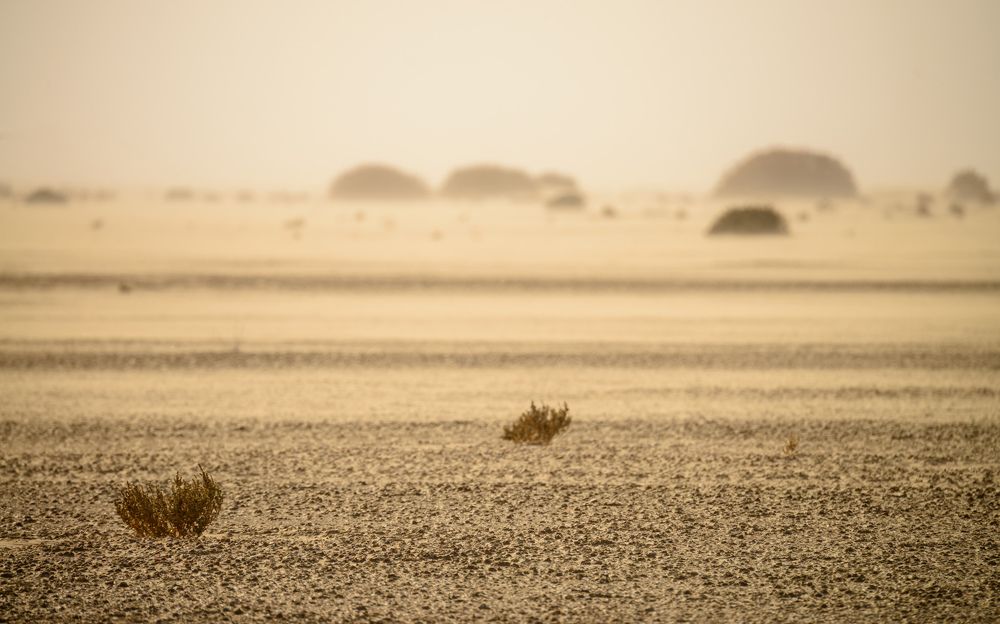 Ветер на дне