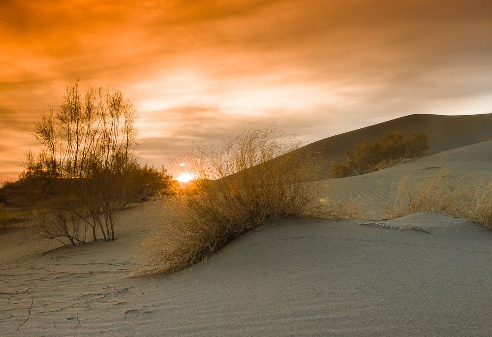 Цвета пющих дюн