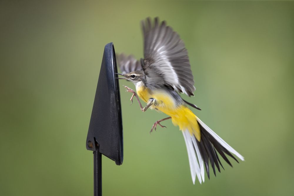 Photograph by Vo Rin