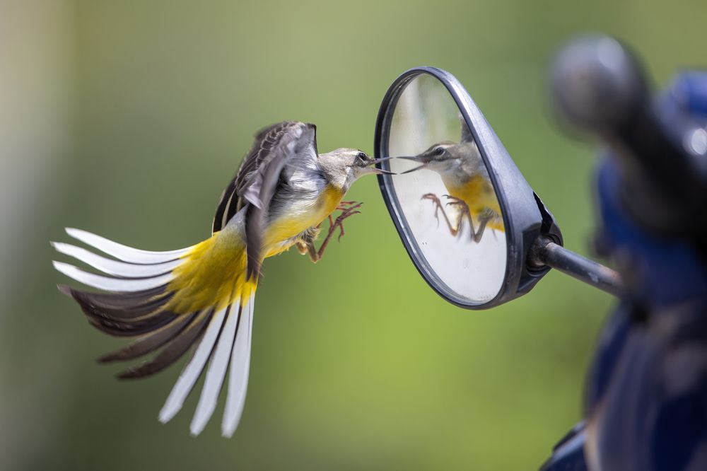 Photograph by Vo Rin