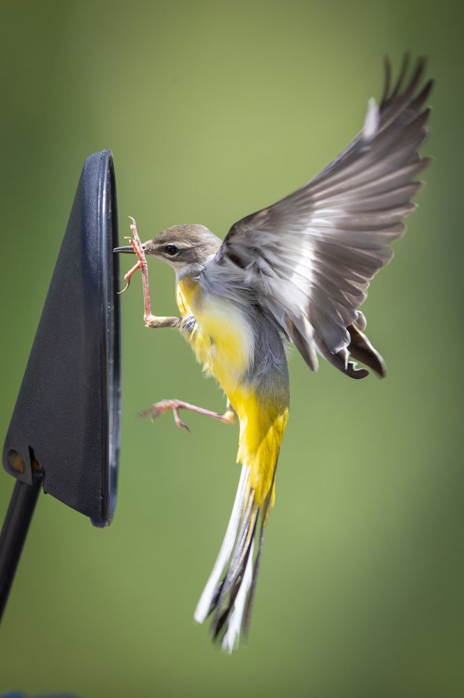 Photograph by Vo Rin