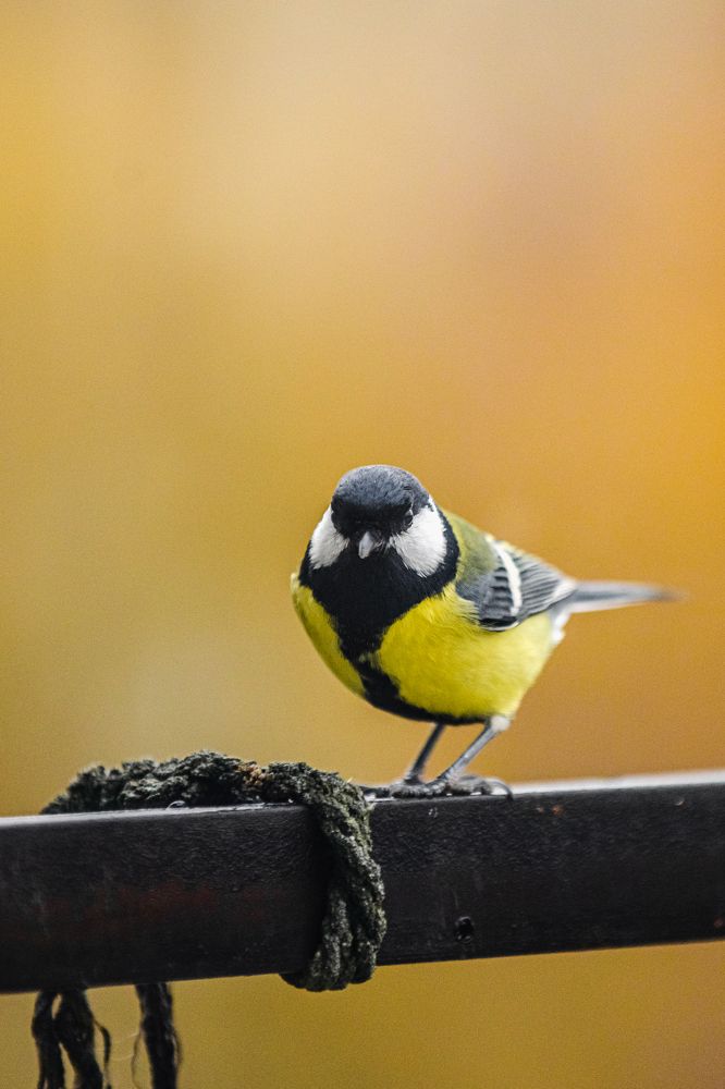 Photograph by Анисимова Ольга Леонидовна