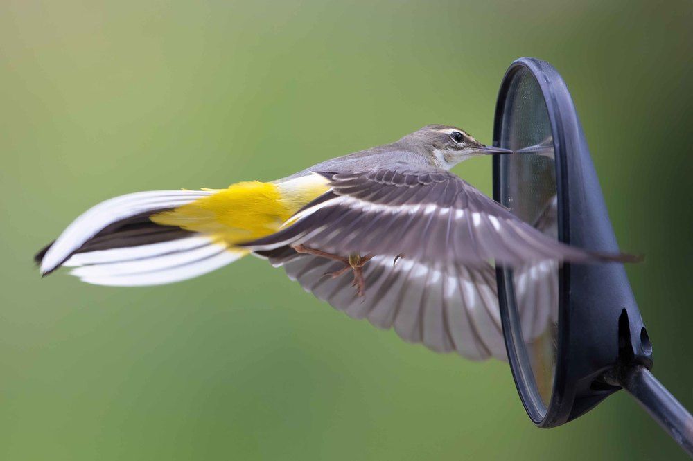 Photograph by Vo Rin