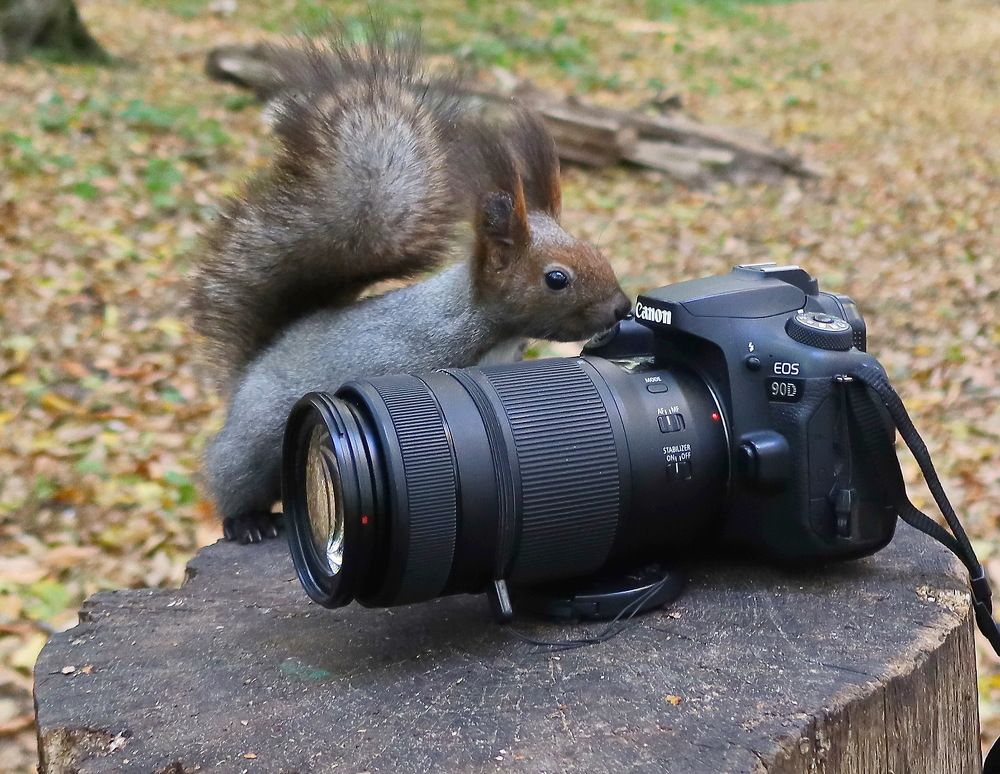 Photograph by 