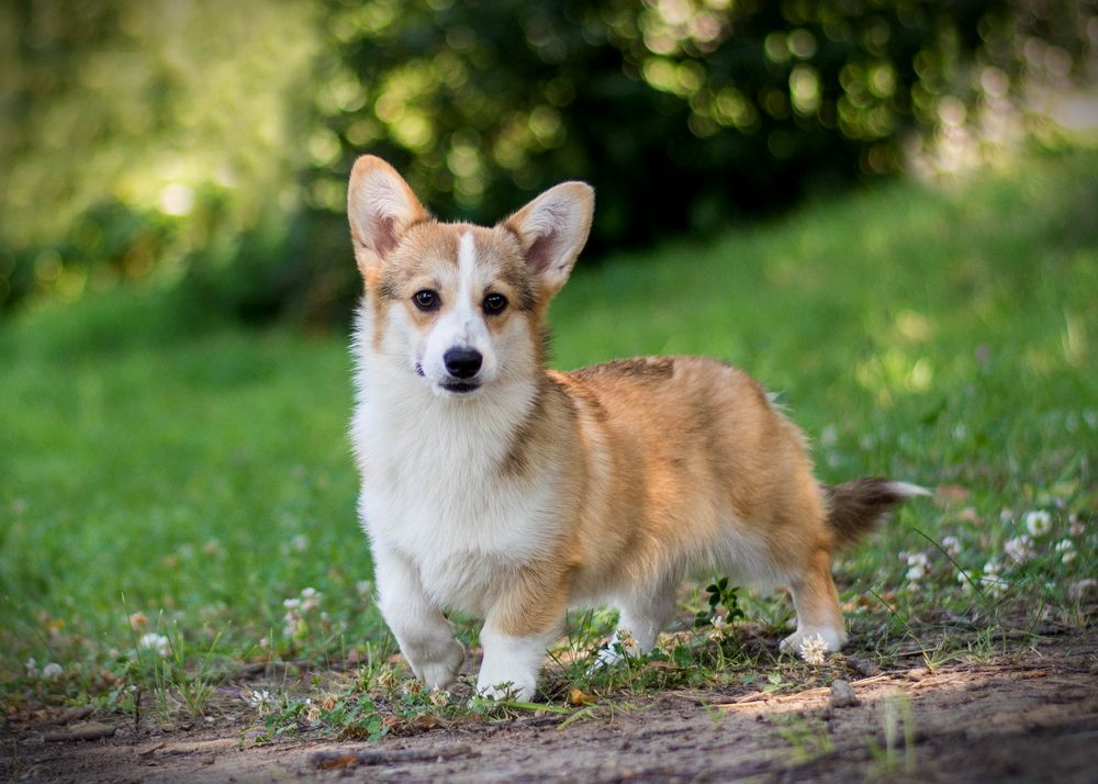 Photograph by Екатерина