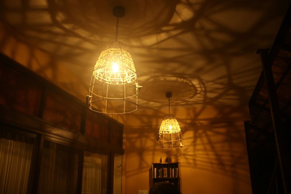 Photograph by Pradyumna K P