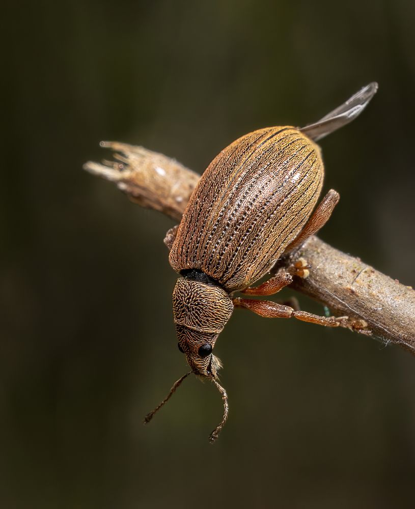 Photograph by Людмила Железнова