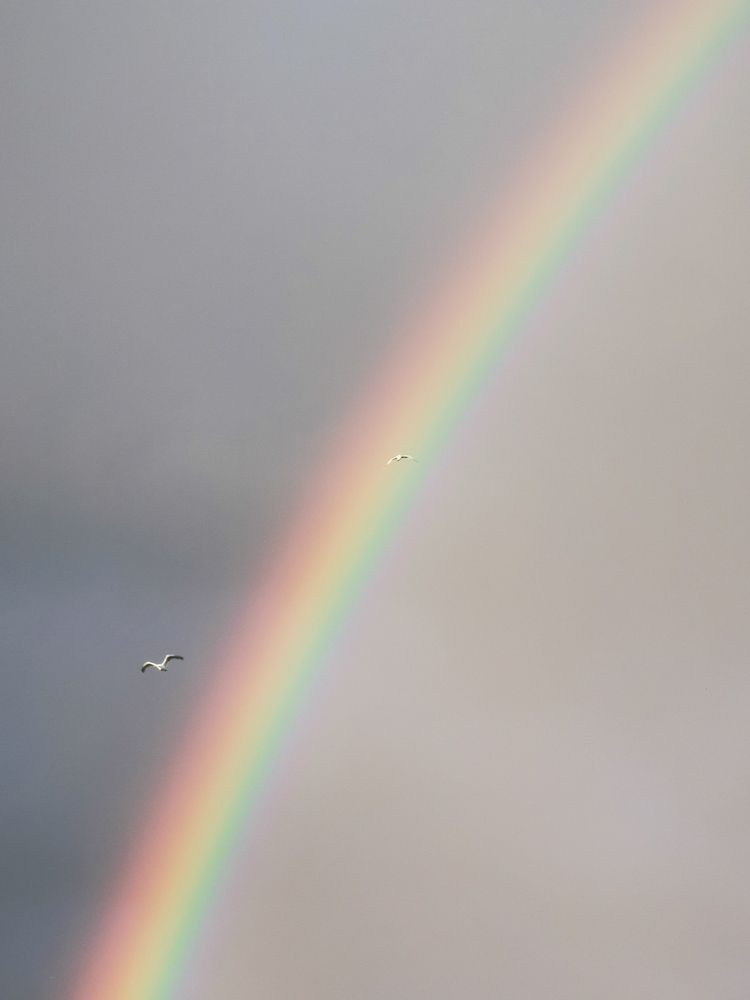 Фотография автора Дмитрий Лебедь