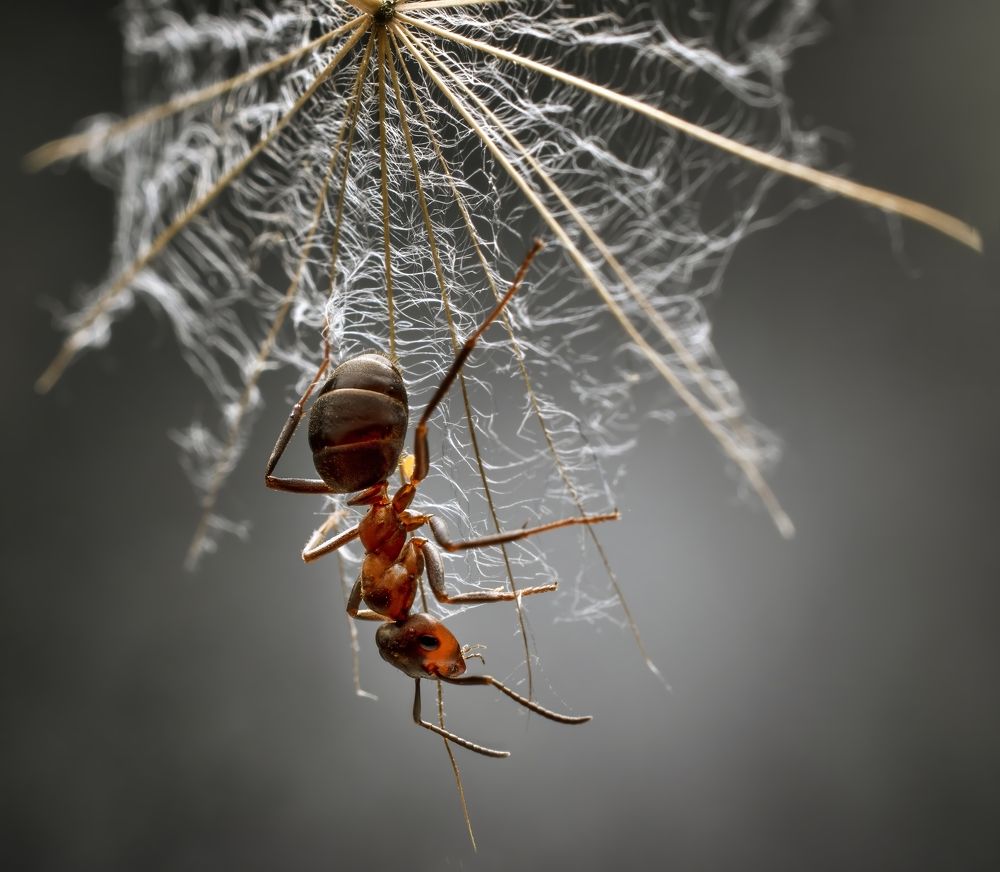 Photograph by Людмила Железнова