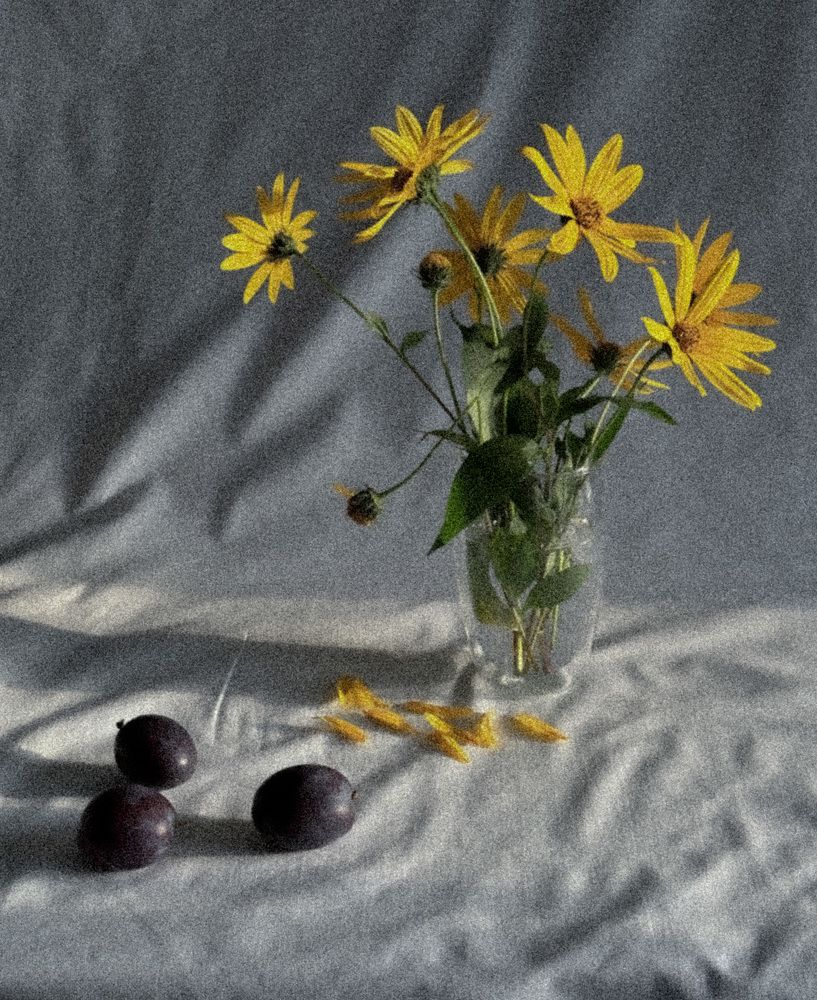 Photograph by Дина Чехова