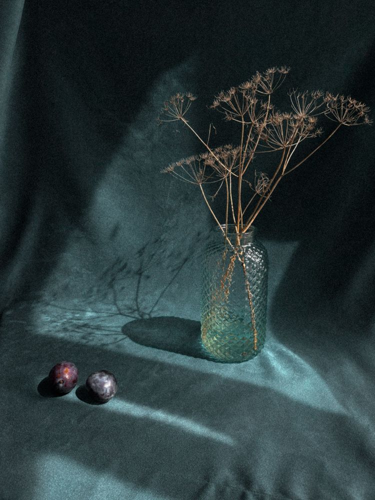 Photograph by Дина Чехова